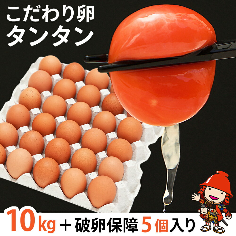 【ふるさと納税】 こだわり卵タンタン (10kg＋破卵保障5個入り) | たまご タマゴ 玉子 生卵 鶏卵 赤鶏 新鮮 濃厚 採れたて 生みたて 大分県産 九州産 中津市 国産 送料無料