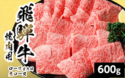 
                  【最短発送】 飛騨牛 ロースまたは肩ロース 焼肉用 600g 岐阜県産 焼肉 黒毛和牛 カタロース 霜降り 牛肉 牛 国産 お取り寄せ ごちそう 自宅用 和牛 最短発送 養老ミート
                