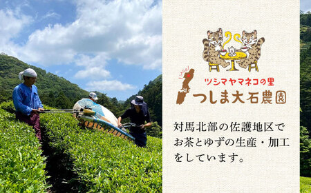 【全6回定期便】【2ヶ月に1回お届け】対馬 紅茶 ティーバッグ 20包入×3個《対馬市》【つしま大石農園】お茶 ティー べにふうき茶葉 フルーティー[WBE008] コダワリ紅茶 こだわり紅茶 おすす