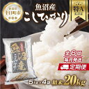 【ふるさと納税】【定期便】新潟県 魚沼産 コシヒカリ お米 20kg×計6回 精米済み 半年間 毎月発送 こしひかり（お米の美味しい炊き方ガイド付き）　定期便・ 精米 ご飯 ブランド米 銘柄米 　お届け：入金確認の翌月から発送