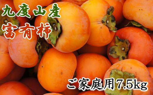 
≪柿の名産地≫九度山の富有柿約7.5kgご家庭用★2024年11月上旬頃より順次発送【TM1】
