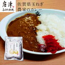 【ふるさと納税】佐賀県玉ねぎ農家のカレー 200g×5パック (合計1kg) レトルト ギフト 非常食 「2024年 令和6年」