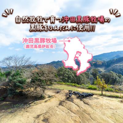 ふるさと納税 伊佐市 自然放牧黒豚　伊佐の豚味噌5個 |  | 02