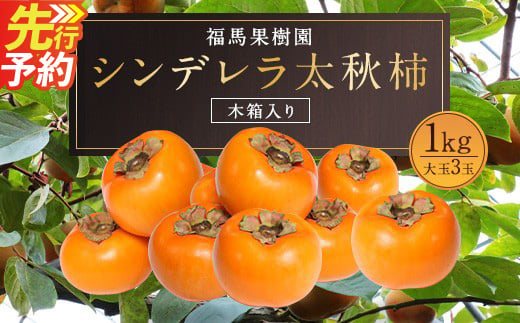 
                  シンデレラ 太秋柿 木箱入り 大玉 3玉 約1kg 【2026年11月上旬-2027年1月上旬発送予定】
                
