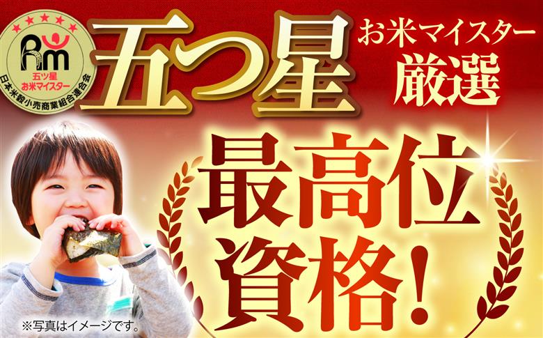 【全6回定期便】 さがびより 無洗米 2kg×2袋（真空パック）【五つ星お米マイスター厳選】特A米 特A評価 [HBL132]