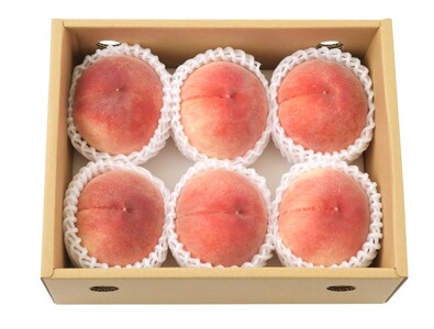 【2025年配送分】甲府市産自然塾の桃2kg