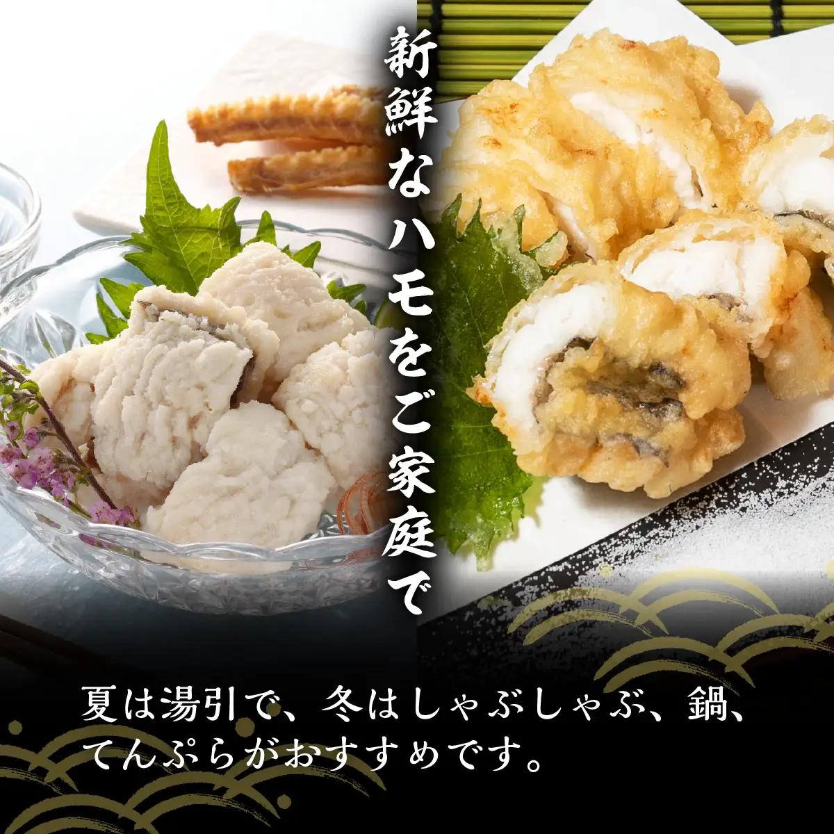 鱧(ハモ)(骨切済み)【C26-3】【配送不可地域：離島】【1044331】 YWTAK003