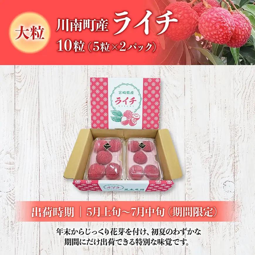 【令和9年産】川南町産ライチ10粒(5粒×2パック) 大粒 【 国産ライチ フルーツ デザート 宮崎県産 】