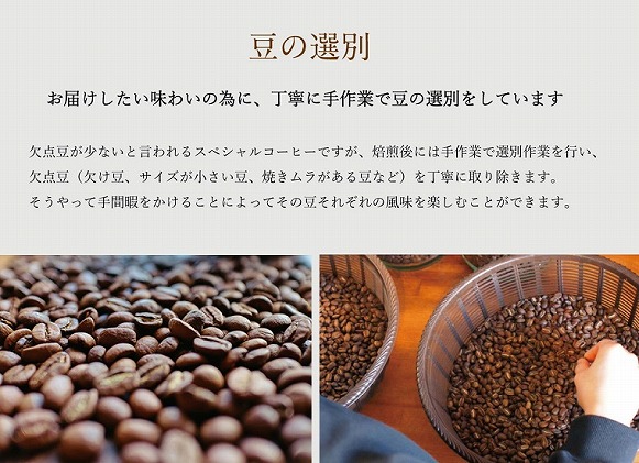 L8【１ヶ月ごとの定期便】OTOMONI COFFEE店主お勧め豆をお届け！２５０g×２袋「粉」