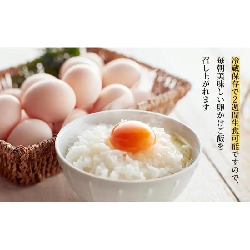 卵 平飼い 烏骨鶏 10個 カステラ セット 卵