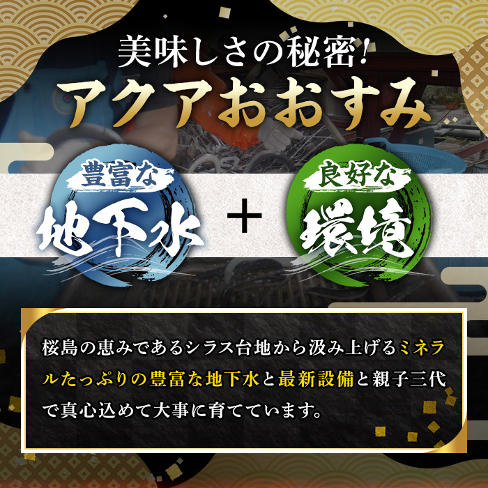 【0304313a】＜訳あり＞東串良町のうなぎ蒲焼(無頭)(5尾以上・計約1kg・タレ、山椒付) 数量限定 うなぎ 高級 ウナギ 鰻 国産 蒲焼 蒲焼き たれ 鹿児島 ふるさと 人気【アクアおおすみ】