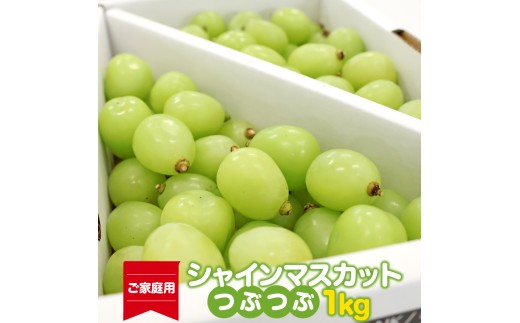 【先行予約】《ご家庭用》令和8年産 訳ありシャインマスカット つぶつぶ 1kg 山形県産 2026年産 【2026年9月上旬頃～10月中旬頃発送予定】※配送不可 沖縄・離島　014-B-HK026