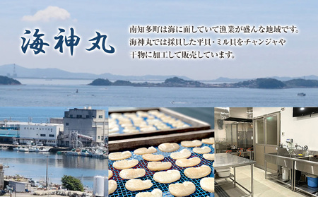 海神丸 平貝 貝柱 チャンジャ 100g×3袋 小分け 平貝