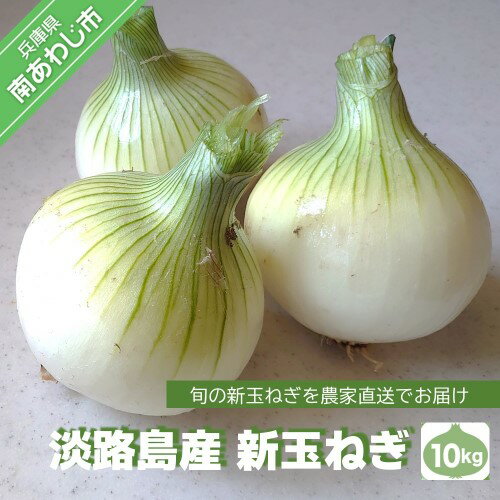 【ふるさと納税】【前田青果】淡路島産 新玉ねぎ10kg　◆配送4月末頃〜