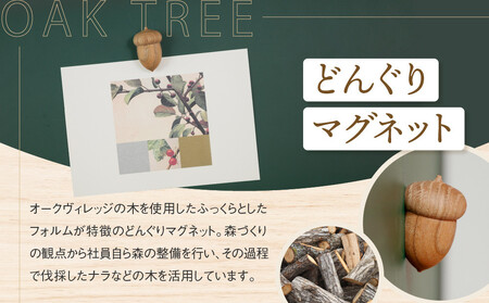 【通常配送】【オークヴィレッジ】どんぐりマグネット |  ギフトラッピング対応 雑貨  ウッド おしゃれ 木製 文具 飛騨高山 オークヴィレッジ(株) AH319VC13