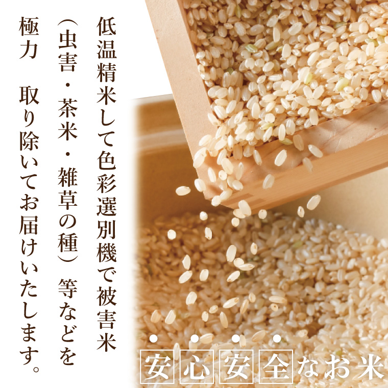 【数量限定】R7年産取手市産コシヒカリ 精米10kg（5kg×2袋）|お米 米 こしひかり コシヒカリ 新米 白米 茨城県 取手市（BS002）