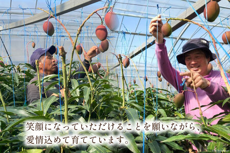【先行受付】「生産者応援・数量限定」日向完熟マンゴー2L×2玉(家庭用) [宮崎県農業協同組合日向地区本部(販売課) 宮崎県 日向市 452060536] 日向 完熟マンゴー 完熟 果物 くだもの フ