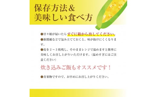 【2025年6月上旬から発送】プレミアムとうもろこし「甘々娘」6本入 山梨県市川三郷町産Inakakara[5839-1817]
