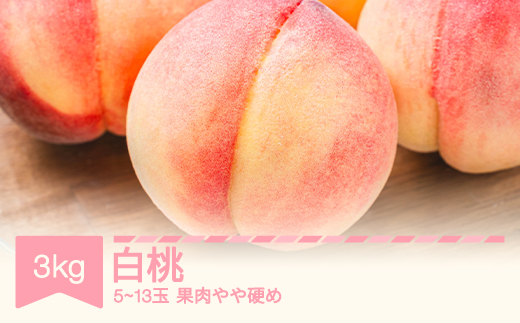 令和8年産 白桃 約3kg (5～13玉)  (柔らかくなる品種・果肉やや硬め) sp-mohtx3000