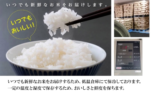 【令和8年12月7日～13日発送】【令和8年産 新米】 工藤さんの特別栽培米 雪若丸 無洗米 10kg（5kg×2袋） 山形県鶴岡市産 株式会社サンエイファーム　| 米 特栽 国産 米どころ 庄内米 