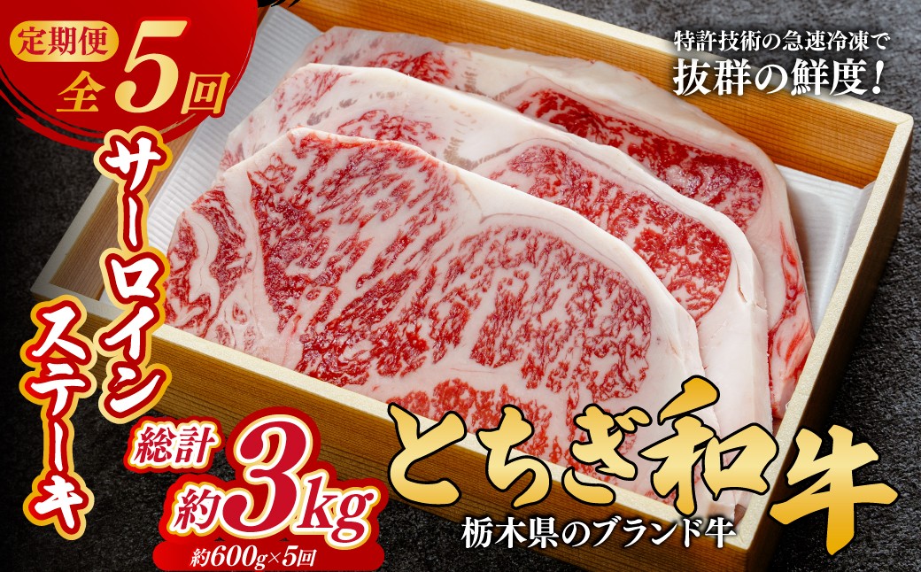 
                  ＜定期便5回＞とちぎ和牛の厚切りサーロインステーキ 600ｇ×5回 計約3kg【栃木県共通返礼品】 | 牛肉 肉 お肉 厚切り サーロイン ステーキ 柔らかい 産地直送 国産 国産牛 和牛 赤身 霜降り 希少 旨味 旨み 熟成 急速冷凍 テクニカン テクニカン社 スキンパック 真空パック 真空包装 コトラミートカルチャ 栃木県 茂木町
                