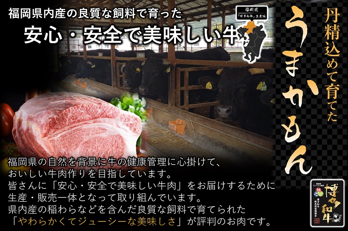 CI018.【全3回定期便】博多和牛切り落とし500g【博多和牛】