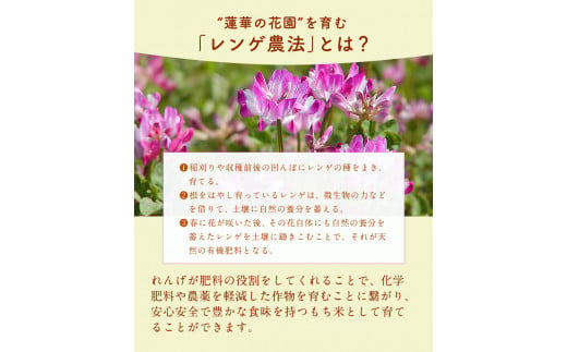 蓮華の花園(もち米) 5kg 精米 JAやつしろカントリー利用組合 氷川町《30日以内に出荷予定(土日祝除く)》---sh_jacomoti_30d_23_12000_5kg---