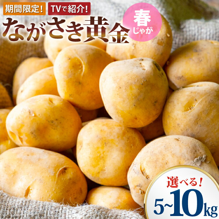 【ふるさと納税】TVで紹介！ じゃがいも 5kg 10kg ながさき黄金 選べる内容量【期間限定発送】春じゃが[南串ながさき黄金生産組合 長崎県 雲仙市 item2058] ジャガイモ 訳あり 訳アリ 5キロ 10キロ 春じゃがいも 長崎県産 期間限定