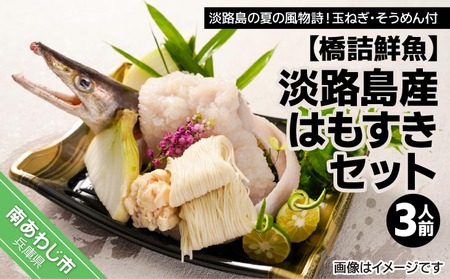 【橋詰鮮魚】淡路島産はもすきセット（３人前） ◆配送6月10日～9月30日