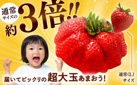 【数量限定】【2024年度先行予約】【1月上旬より順次配送】超大玉 あまおう イチゴ グランデ 2パック入り 3玉～6玉 いちご 苺 約350g×2パック 700g（王塚古墳のある町桂川町）