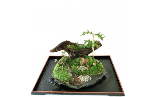 苔盆景川石山水画は、心を癒す美しい自然の景観をお部屋に届けるアイテムです。【1428834】