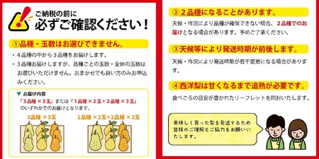 SA2720　六代多右エ門　西洋梨 おまかせ3品種　約3kg(8～9玉) 化粧箱入