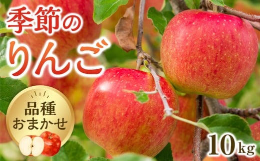 331.【品種はおまかせ】季節のりんご 10kg箱 ※2025年10月上旬～10月下旬頃に順次発送予定【りんご 林檎 フルーツ 果物 新鮮 先行予約 おまかせ 季節 鳥取県 北栄町 おすすめ 人気】