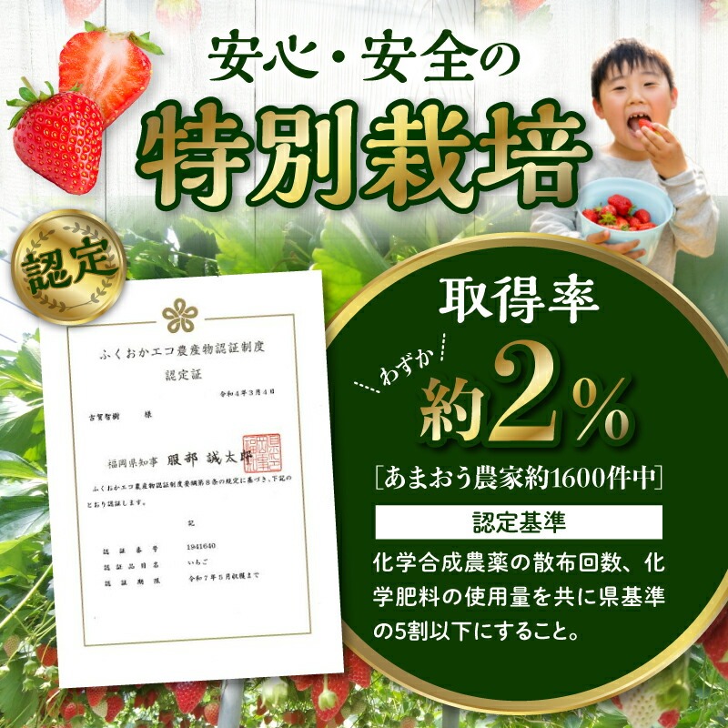 うるう農園のあまおうサイズ色々 4パック（1140g）_サイズ色々 特別栽培認証 あまおう 苺 4パック 計 1140g うるう農園 安心 安全 Mサイズ 特大 グランデサイズ 福岡限定 ブランド苺 