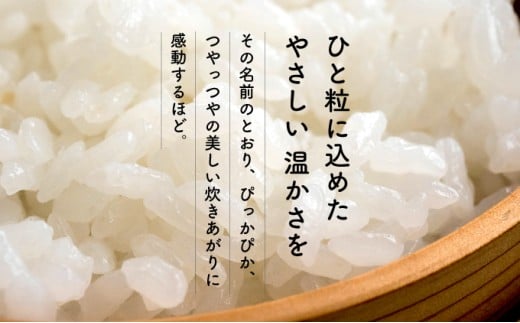 KU156_R7【定期便・全2回】令和7年産「超早場米」ぴかまる 計10kg（5kg×2回）【中島米穀店】