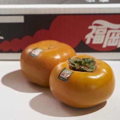 ふるさと納税 粕屋町 秋王(あきおう)約1.5kg箱(4-6玉)(粕屋町) |  | 02