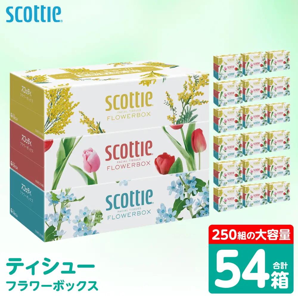スコッティ ティッシュ 250組 54箱 ティシュー