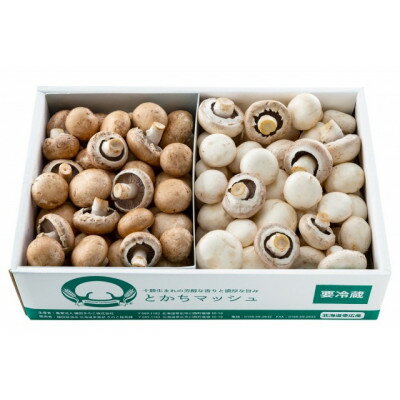 【ふるさと納税】とかちマッシュ ホワイト・ブラウンMIX1.5kg【配送不可地域：離島】【1501669】