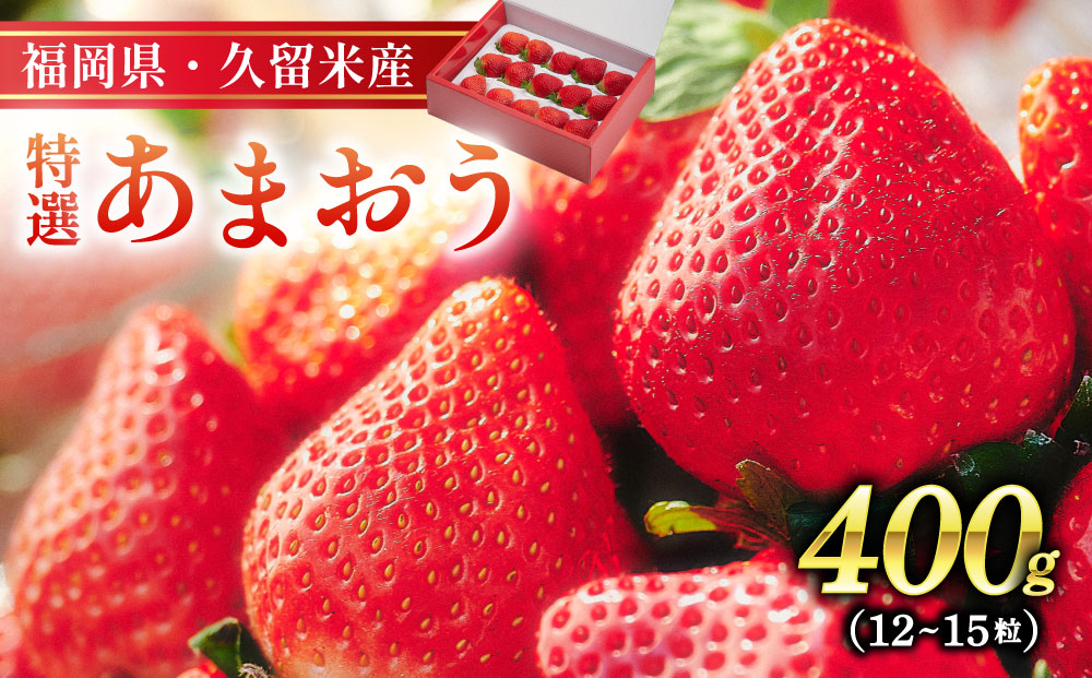 特選あまおう　400g 特選あまおう　400g