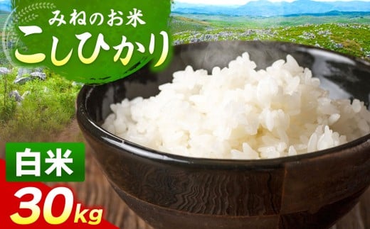 令和7年度産 こしひかり 白米 30kg｜ 白米  米 雑穀 お米 コメ 単一米 こしひかり コシヒカリ   山口 美祢 秋吉台