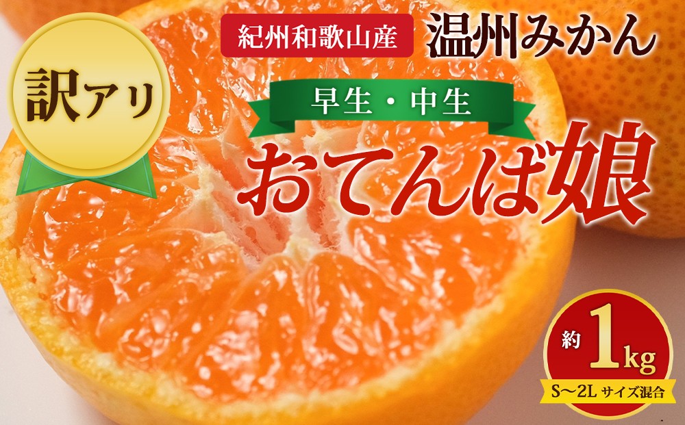 
                  【先行予約】【訳あり】紀州和歌山産 温州みかん「おてんば娘」約1kg（箱込み）S～2L サイズ混合（早生・中生）
                