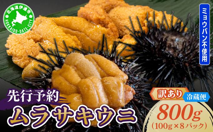 ＜先行予約＞ 北海道産 ムラサキウニ（訳あり）800g【ogm-046】生うに 塩水うに ミョウバン不使用 海鮮 訳あり 国産 北海道 伊達 ふるさと納税