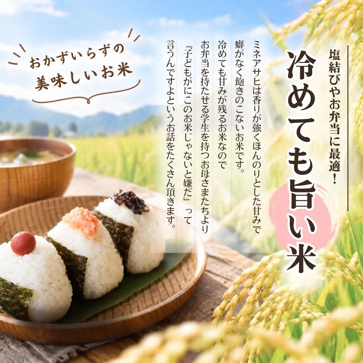 【先行予約】【令和8年産】新米 産地限定山間地ギフト 希少米峰旭 ( ミネアサヒ ) 真空パック 2kg×3 計6kg