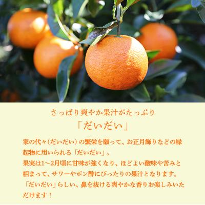 ふるさと納税 高原町 さっぱり爽やか ほどよくビター「だいだい(橙)」の手搾り果汁1L(業務用) TF819 |  | 02