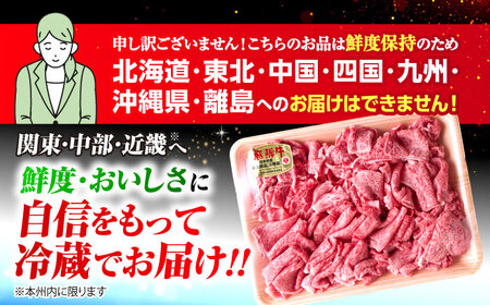 ※冷蔵配送/地域限定※ 飛騨牛 切落し (ロースまたは肩ロース) 600g 瑞浪市 / きなぁた瑞浪 和牛 国産 岐阜県産 [AZCI029]