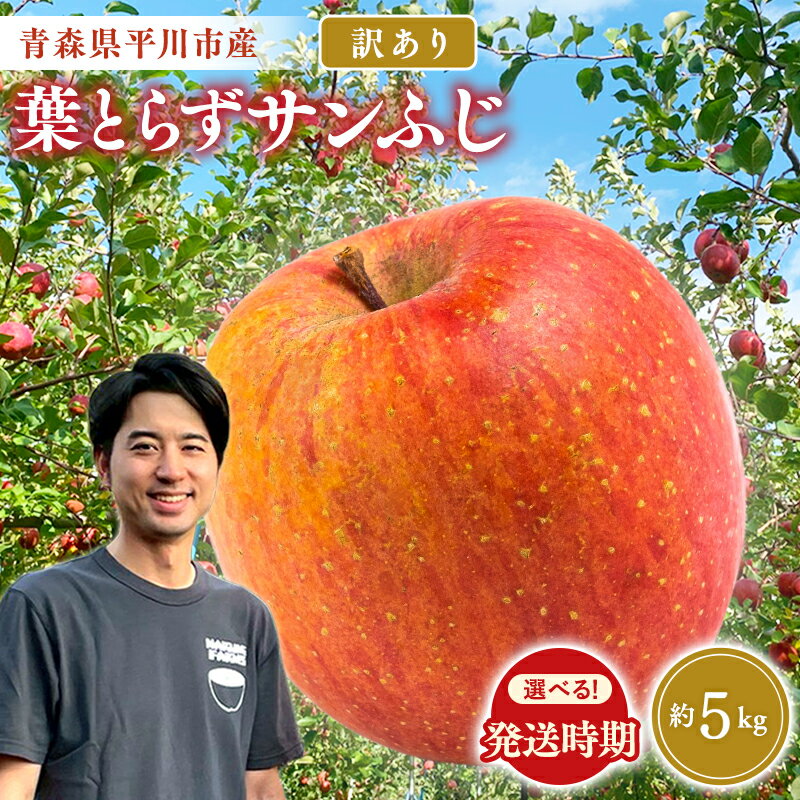 【ふるさと納税】 ≪発送時期が選べる≫ 訳あり 葉取らず サンふじ 約5kg 年明け発送 または 年内発送 【青森県 平川市 なるみ農園】 家庭用 訳アリ 青森 青森県産 平川 りんご リンゴ 林檎 くだもの 果物 フルーツ