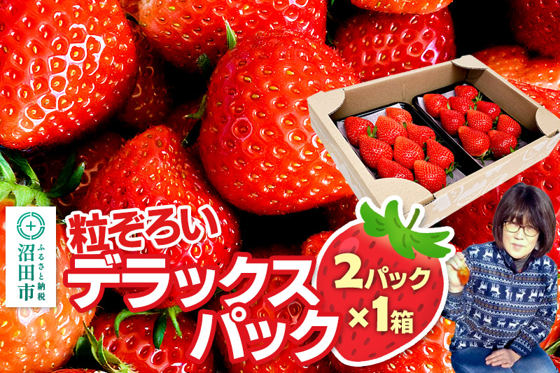 《2026年1月上旬〜2月上旬発送》粒ぞろい「やよいひめ」デラックスパック 1箱2パック入り（280g×2）山口いちご園 苺 イチゴ いちご