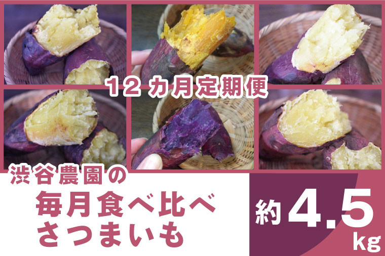 
【12ヶ月定期便】渋谷農園の毎月食べ比べさつまいも 約4.5kg(BZ-21)
