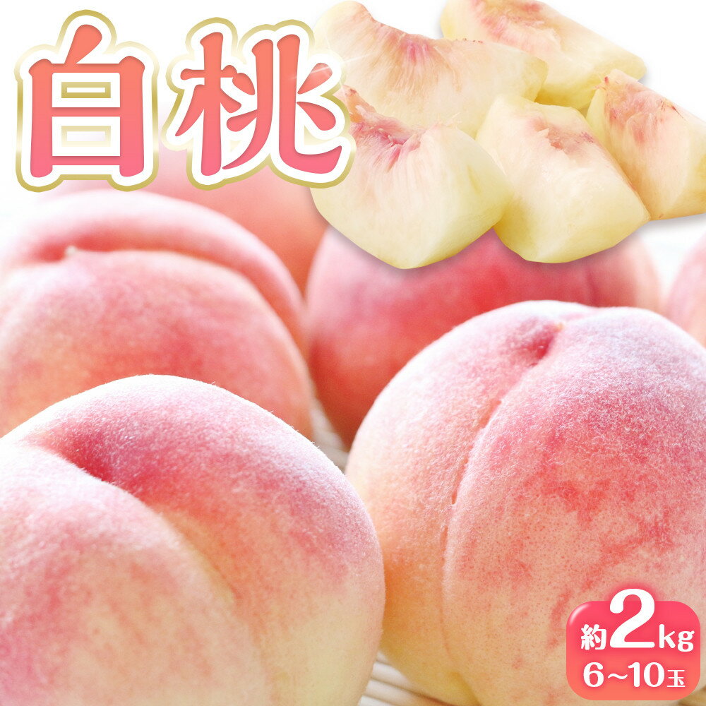 【ふるさと納税】先行予約 白桃 桃 もも 約2kg 6-10玉入り | 香川県産 果物 くだもの フルーツ ジューシーな果汁と果肉が自慢