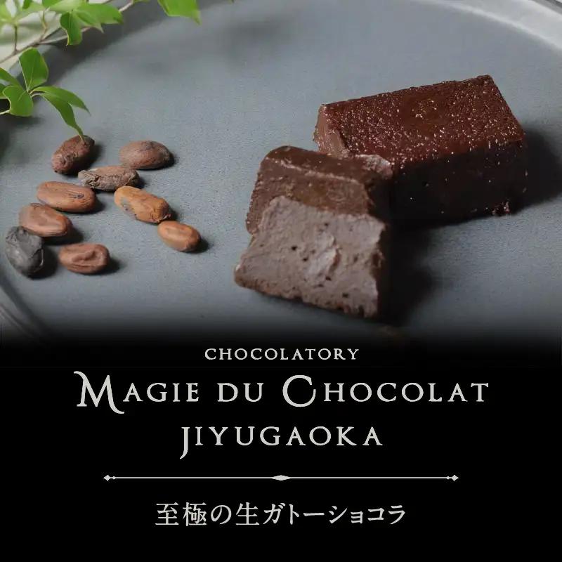 チョコレート専門店 MAGIE DU CHOCOLAT 至極の生ガトーショコラ スイーツ チョコレート 焼き菓子 ギフト_0010-003-se4